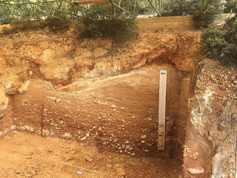 The Atapuerca archaeological site, Spain
