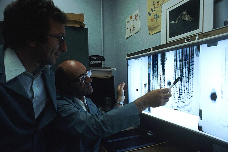 A scientist performing DNA sequencing in a laboratory