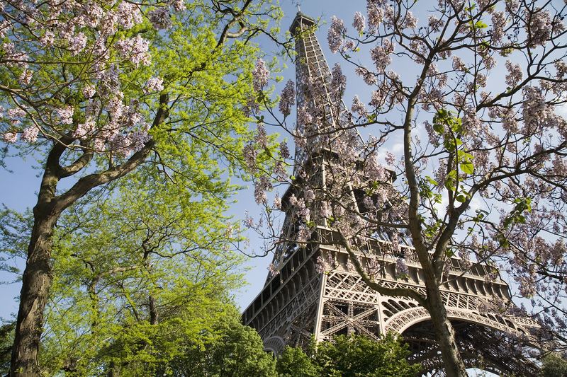 The Eiffel Tower in Paris, France