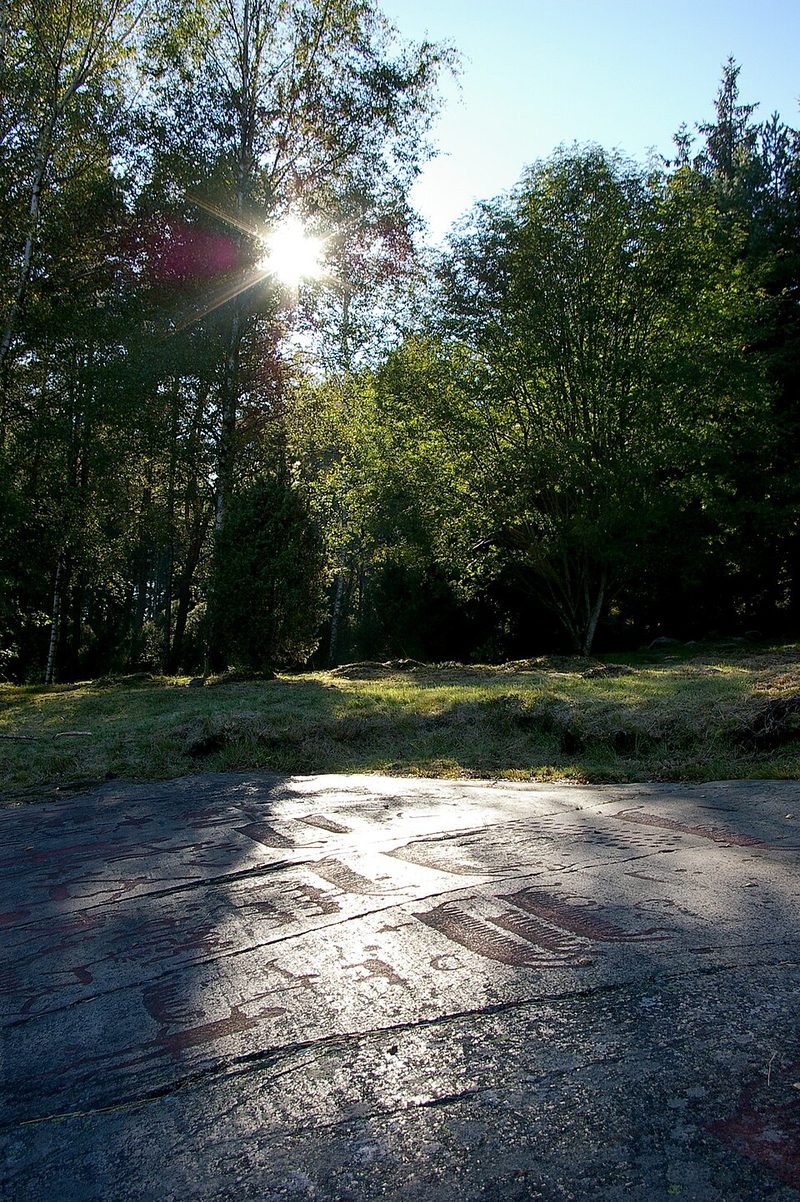 Nordic Bronze Age rock carving, Sweden