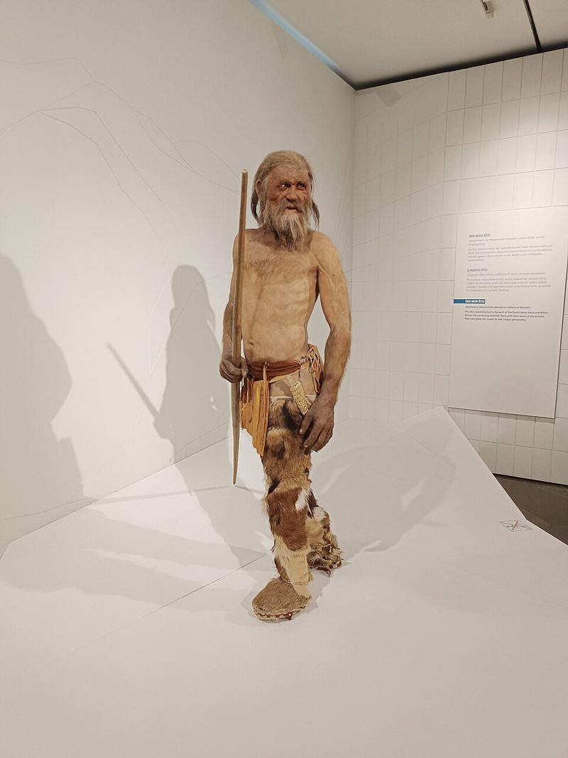 Museum reconstruction figure of Ötzi the Iceman based on his mummified remains, DNA analysis, and isotope data